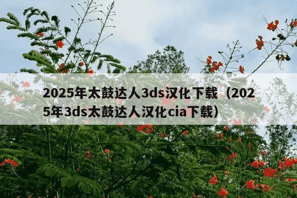 2025年太鼓达人3ds汉化下载（2025年3ds太鼓达人汉化cia下载）
