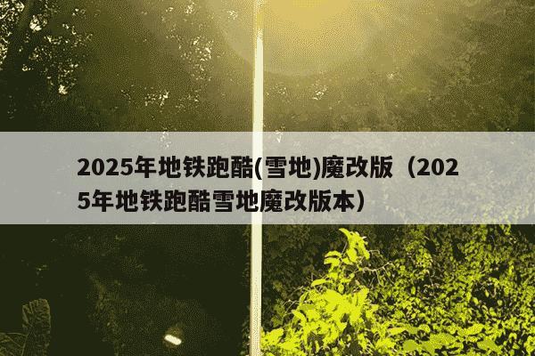 2025年地铁跑酷(雪地)魔改版（2025年地铁跑酷雪地魔改版本）