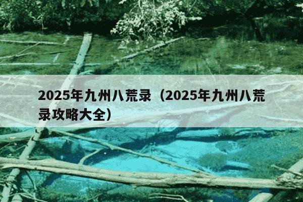 2025年九州八荒录（2025年九州八荒录攻略大全）
