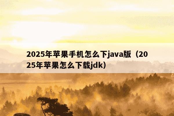 2025年苹果手机怎么下java版（2025年苹果怎么下载jdk）