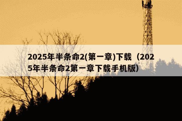 2025年半条命2(第一章)下载（2025年半条命2第一章下载手机版）