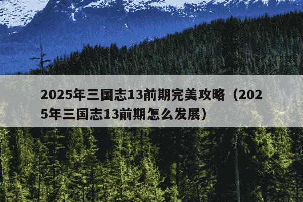2025年三国志13前期完美攻略（2025年三国志13前期怎么发展）