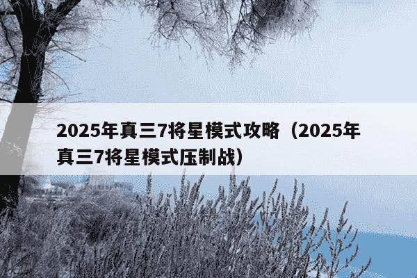 2025年真三7将星模式攻略（2025年真三7将星模式压制战）