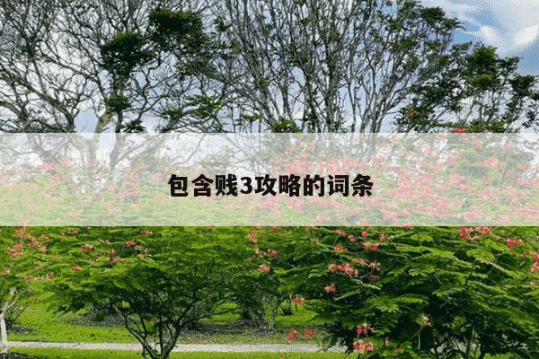 包含贱3攻略的词条