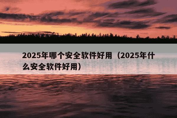 2025年哪个安全软件好用（2025年什么安全软件好用）