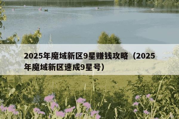 2025年魔域新区9星赚钱攻略（2025年魔域新区速成9星号）