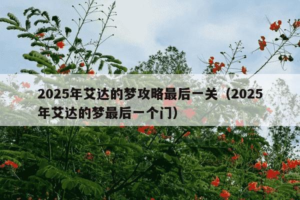 2025年艾达的梦攻略最后一关（2025年艾达的梦最后一个门）