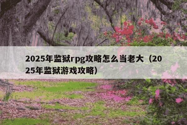 2025年监狱rpg攻略怎么当老大（2025年监狱游戏攻略）