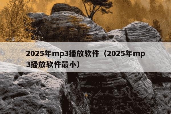 2025年mp3播放软件（2025年mp3播放软件最小）