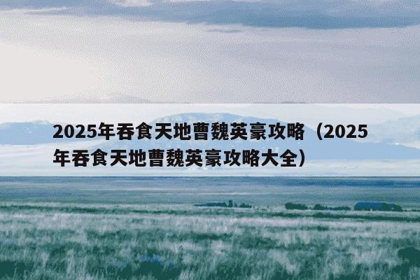 2025年吞食天地曹魏英豪攻略（2025年吞食天地曹魏英豪攻略大全）