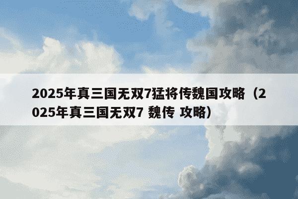 2025年真三国无双7猛将传魏国攻略（2025年真三国无双7 魏传 攻略）