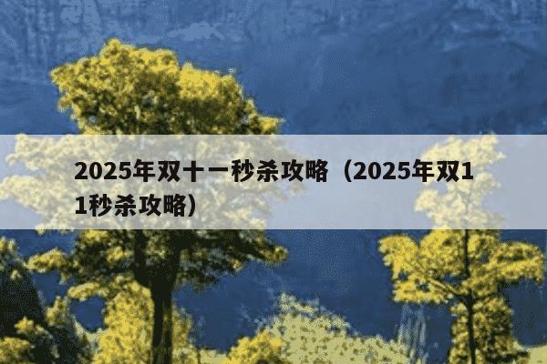 2025年双十一秒杀攻略(2025年双11秒杀攻略)