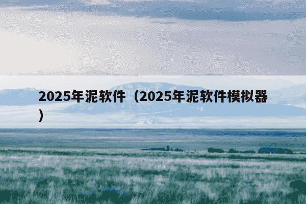 2025年泥软件(2025年泥软件模拟器)