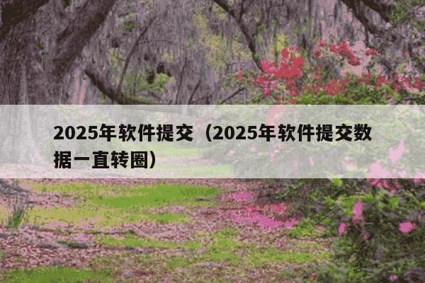 2025年软件提交（2025年软件提交数据一直转圈）