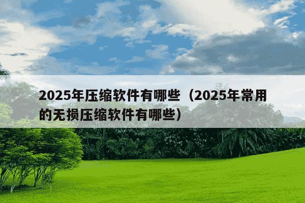 2025年压缩软件有哪些（2025年常用的无损压缩软件有哪些）