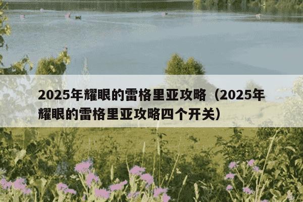 2025年耀眼的雷格里亚攻略（2025年耀眼的雷格里亚攻略四个开关）