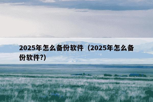 2025年怎么备份软件（2025年怎么备份软件?）