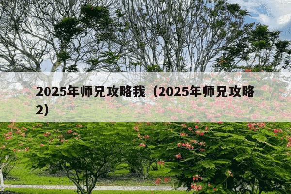 2025年师兄攻略我（2025年师兄攻略2）