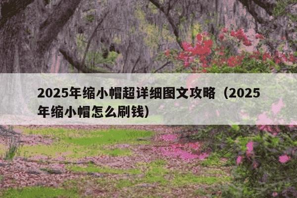 2025年缩小帽超详细图文攻略（2025年缩小帽怎么刷钱）