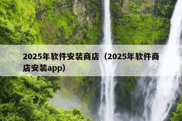 2025年软件安装商店（2025年软件商店安装app）