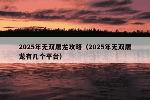 2025年无双屠龙攻略（2025年无双屠龙有几个平台）
