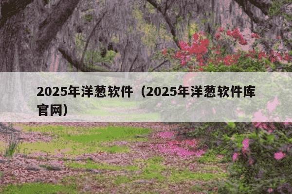 2025年洋葱软件（2025年洋葱软件库官网）