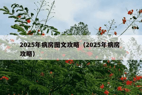 2025年病房图文攻略（2025年病房 攻略）