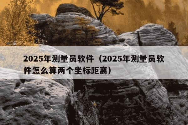 2025年测量员软件（2025年测量员软件怎么算两个坐标距离）