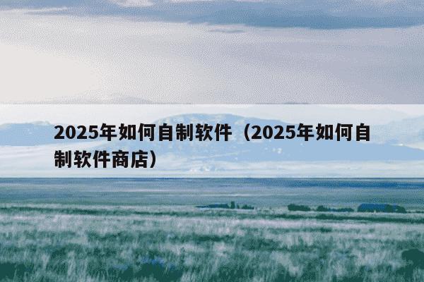 2025年如何自制软件（2025年如何自制软件商店）