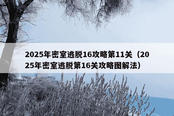 2025年密室逃脱16攻略第11关（2025年密室逃脱第16关攻略图解法）