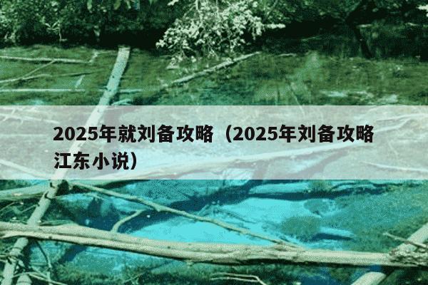2025年就刘备攻略(2025年刘备攻略江东小说)
