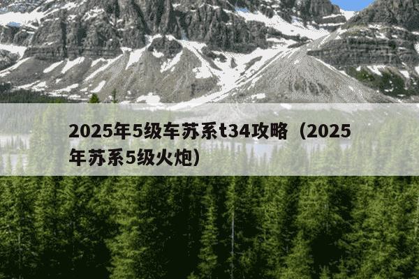 2025年5级车苏系t34攻略(2025年苏系5级火炮)