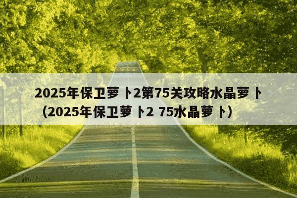 2025年保卫萝卜2第75关攻略水晶萝卜(2025年保卫萝卜2 75水晶萝卜)