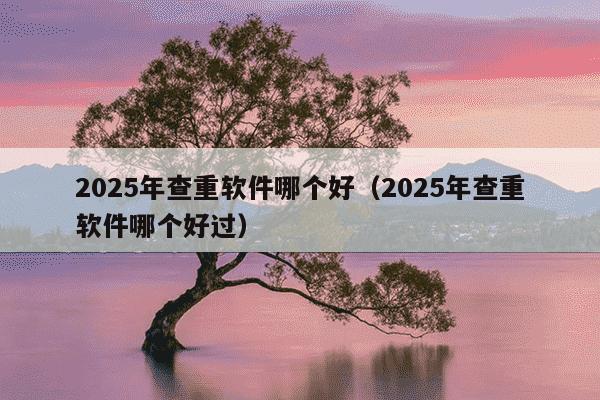 2025年查重软件哪个好（2025年查重软件哪个好过）