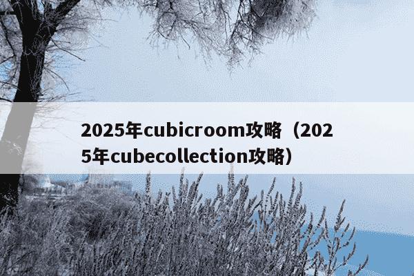 2025年cubicroom攻略（2025年cubecollection攻略）