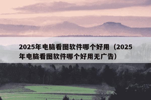 2025年电脑看图软件哪个好用（2025年电脑看图软件哪个好用无广告）