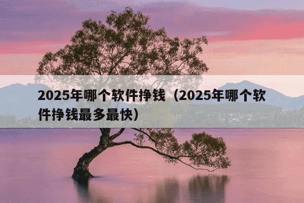 2025年哪个软件挣钱（2025年哪个软件挣钱最多最快）