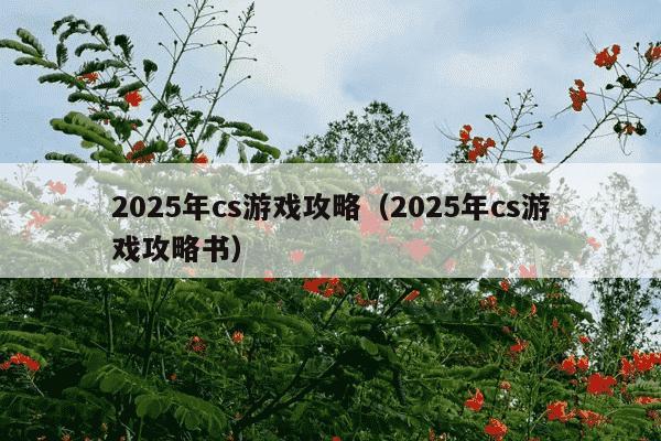 2025年cs游戏攻略（2025年cs游戏攻略书）