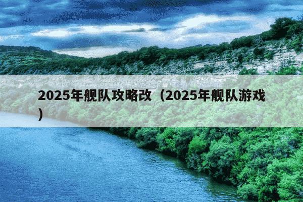 2025年舰队攻略改（2025年舰队游戏）