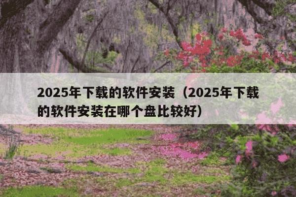 2025年下载的软件安装（2025年下载的软件安装在哪个盘比较好）