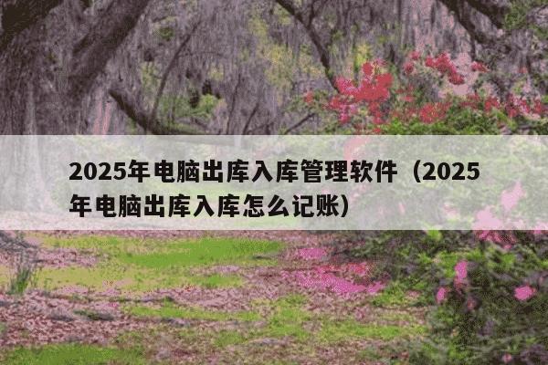 2025年电脑出库入库管理软件(2025年电脑出库入库怎么记账)