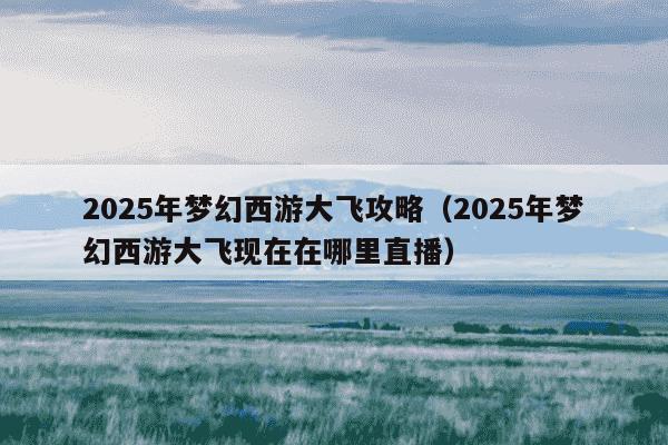 2025年梦幻西游大飞攻略（2025年梦幻西游大飞现在在哪里直播）