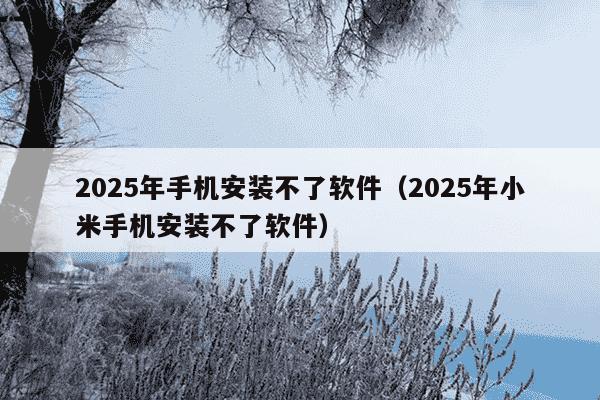 2025年手机安装不了软件（2025年小米手机安装不了软件）