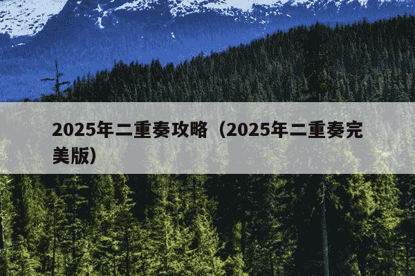 2025年二重奏攻略（2025年二重奏完美版）
