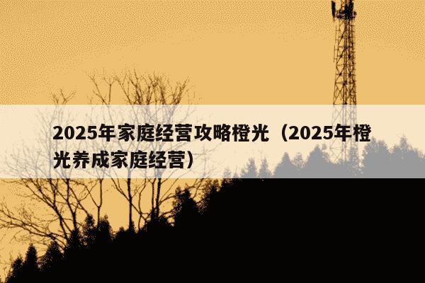 2025年家庭经营攻略橙光（2025年橙光养成家庭经营）