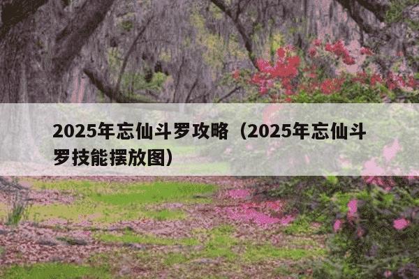 2025年忘仙斗罗攻略（2025年忘仙斗罗技能摆放图）