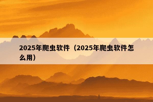 2025年爬虫软件（2025年爬虫软件怎么用）