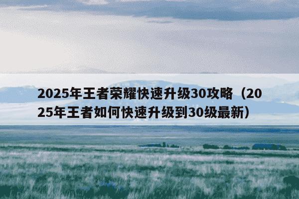 2025年王者荣耀快速升级30攻略（2025年王者如何快速升级到30级最新）