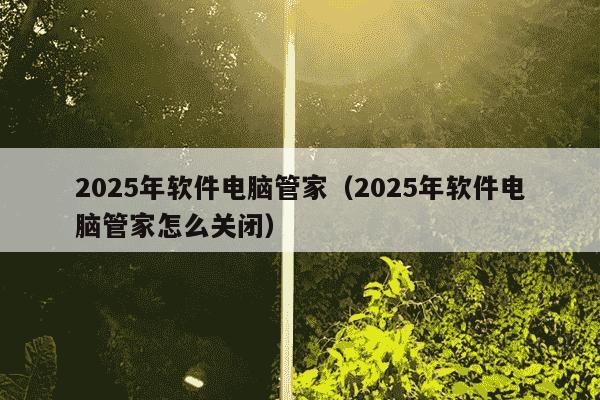 2025年软件电脑管家(2025年软件电脑管家怎么关闭)