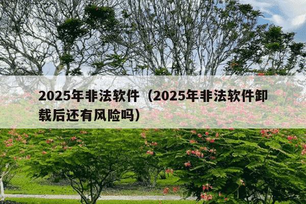 2025年非法软件(2025年非法软件卸载后还有风险吗)